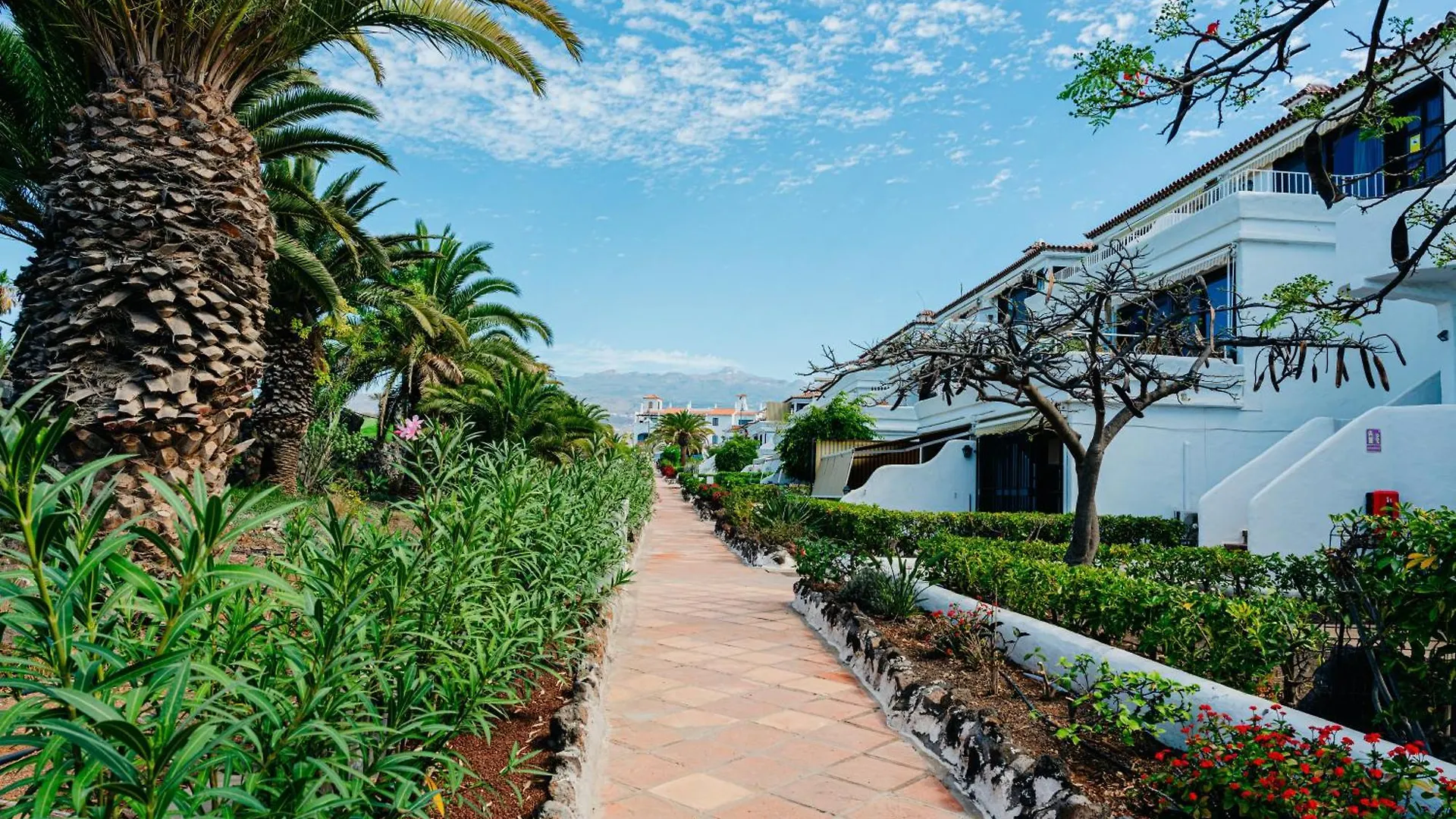 1Bdr Sunny Terrace Apartment San Miguel de Abona